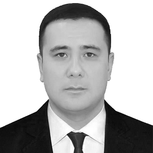 Musaev Ulugbek Yuldashevich