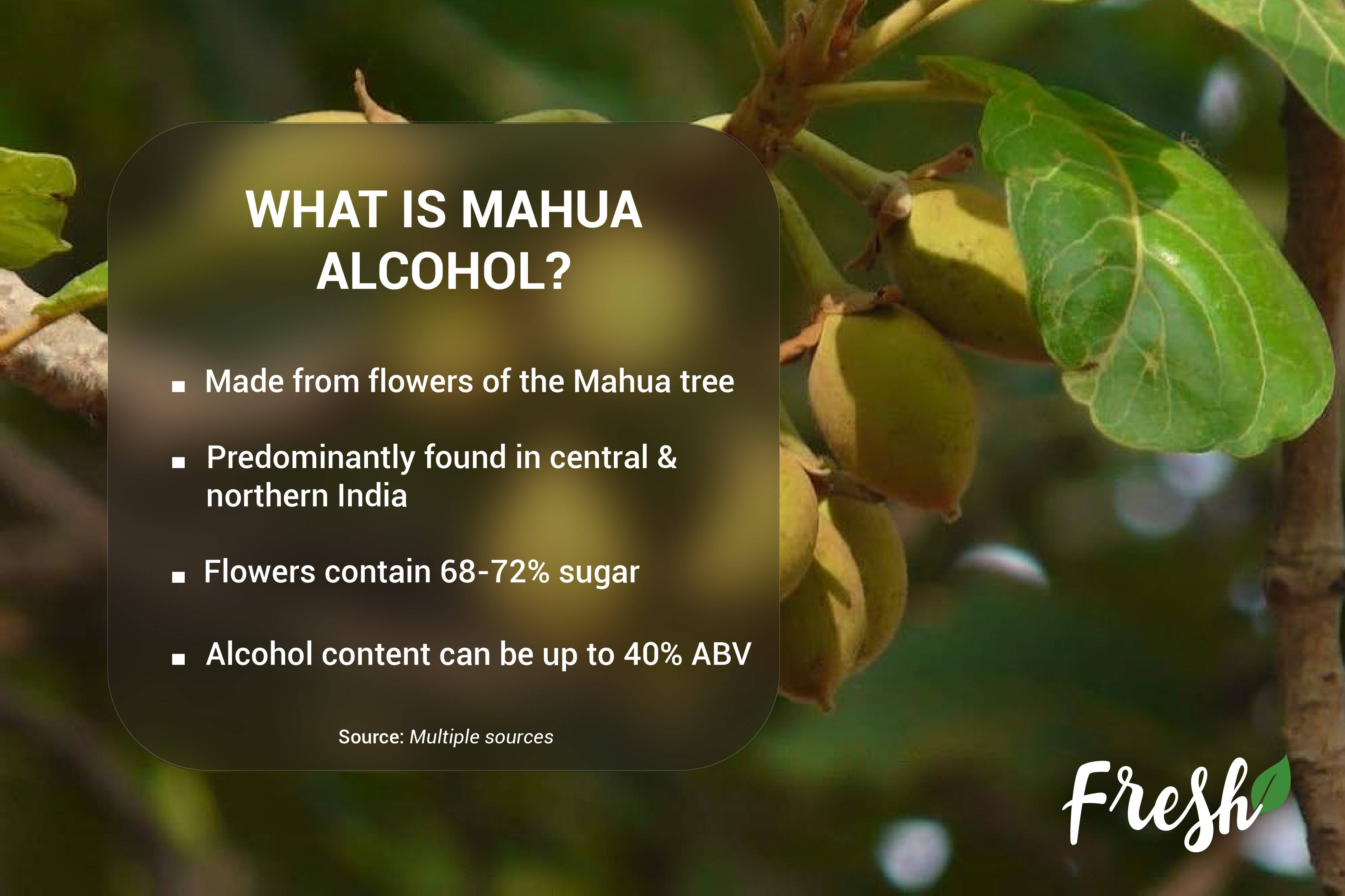 What is Mahua?
