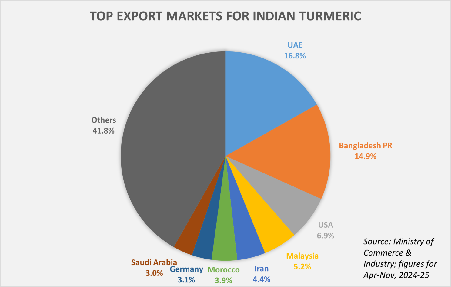 top export markets for Indian turmeric